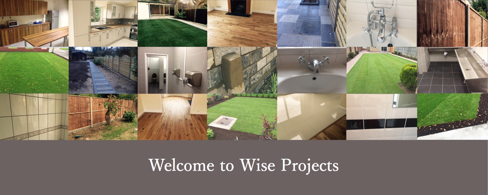 Wise Projects